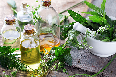 Các Loại Thảo Dược Có Lợi cho Vấn Đề Phì Đại Tuyến Tiền Liệt