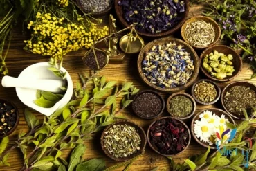 Chữa Viêm Da Cơ Địa bằng Đông Y: Giải Pháp An Toàn và Hiệu Quả