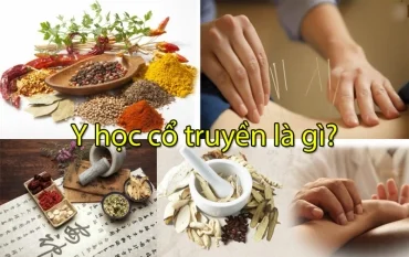 Đông y và Y học cổ truyền: Giải đáp những thắc mắc phổ biến.
